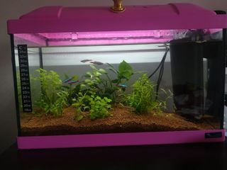 Kit Acuario Marina 10G LED 38 Litros